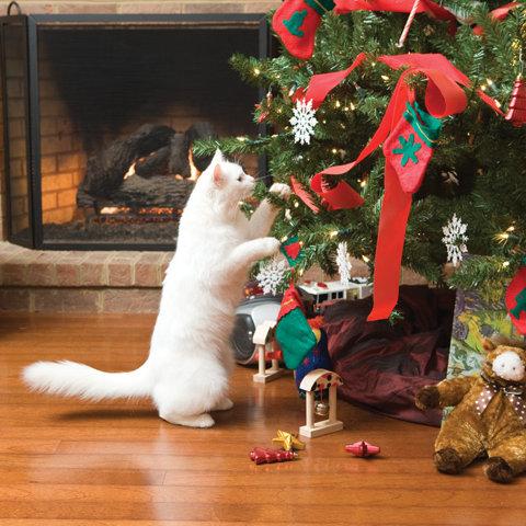 5 Ways to Cat-proof Your Holiday Decorations
