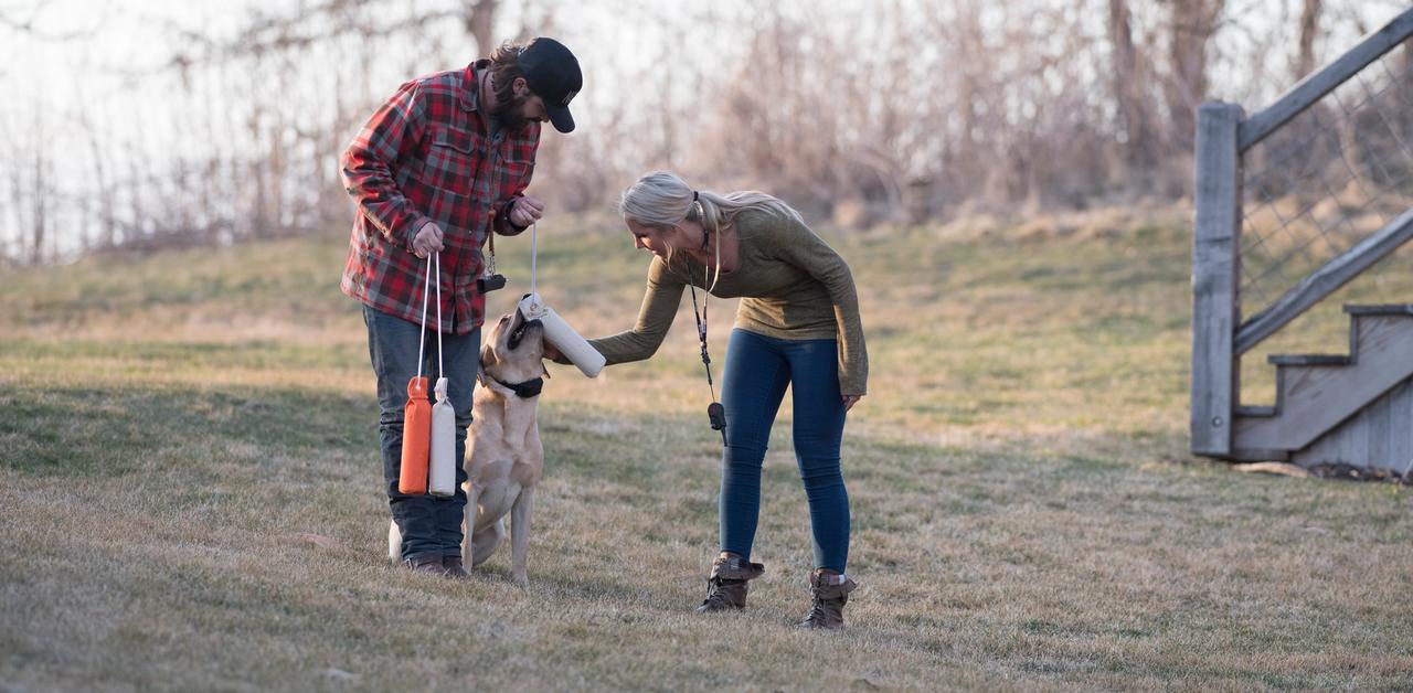 Man and woman petting and rewarding yellow lab for retrieving dummy