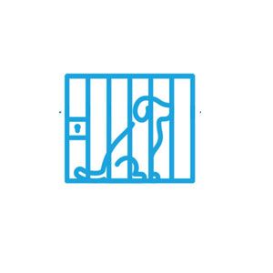 30 percent of animals are left shelters