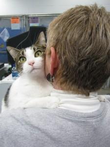 cat hugging