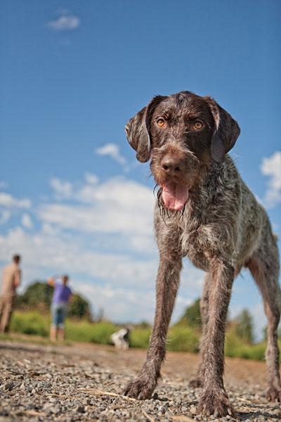 Summer Days – Here Comes The (Hot) Sun