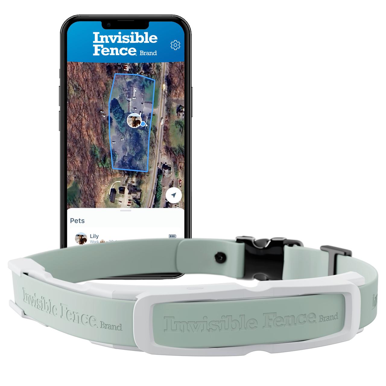 GPS collar with Invisible Fence GPS App in background