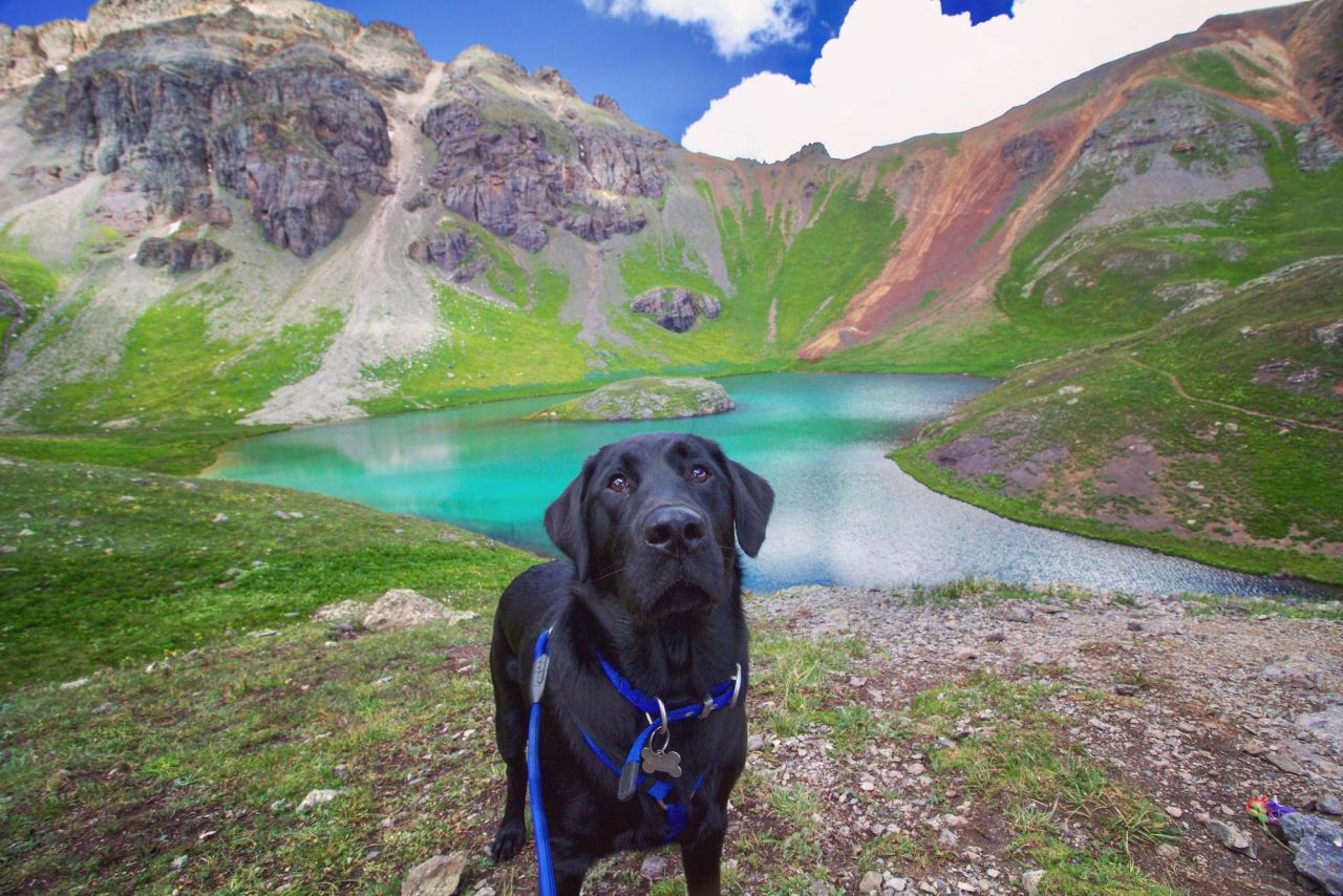 labs water finn
