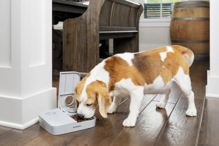 dog and pet feeder