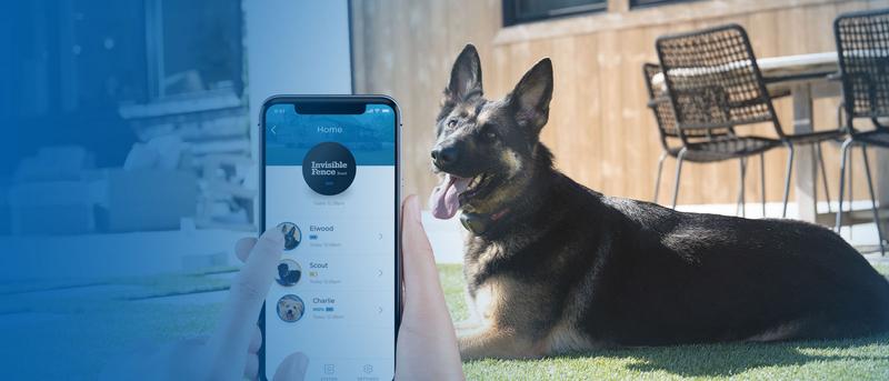 Boundary Plus Smart system and German Shepherd.