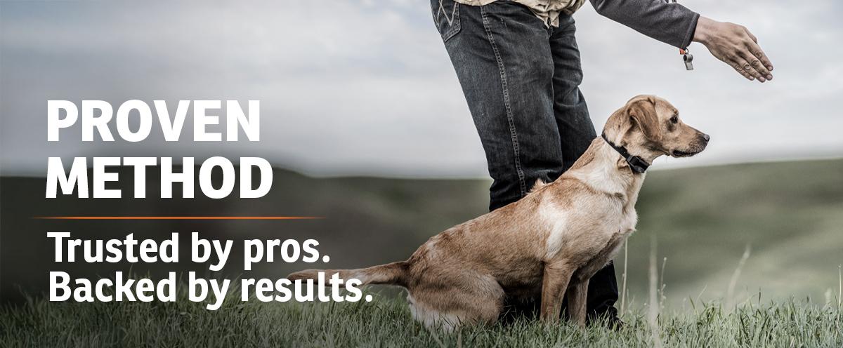 yellow lab being lined by handler with text: Proven method. Trusted by pros. Backed by results.