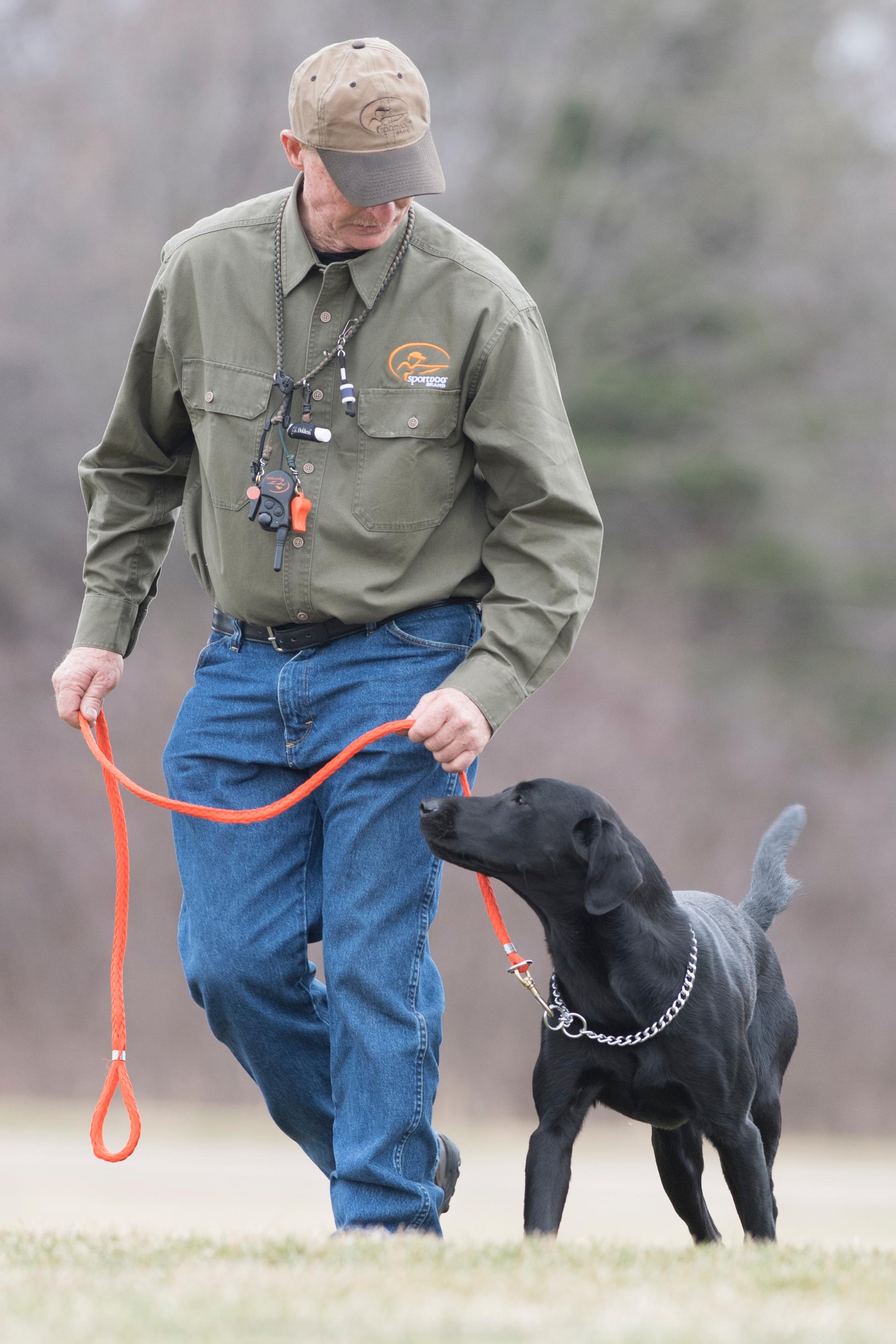 5 Things Dog Trainers Do Best