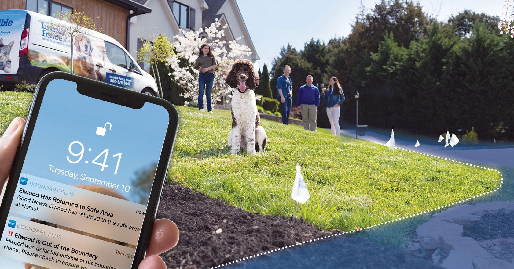 Visualization of a newly installed underground dog fence with app connectivity.