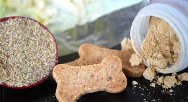 4 DIY Healthy Dog Treat Recipes