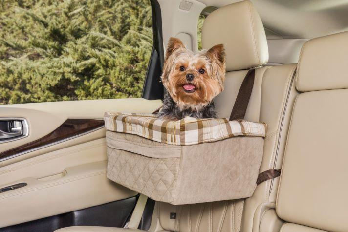 dog pet travel