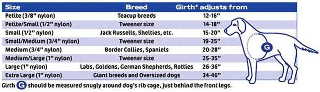 Easy Walk sizing chart