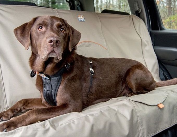 Complete Dog Car Seat Cover Guide