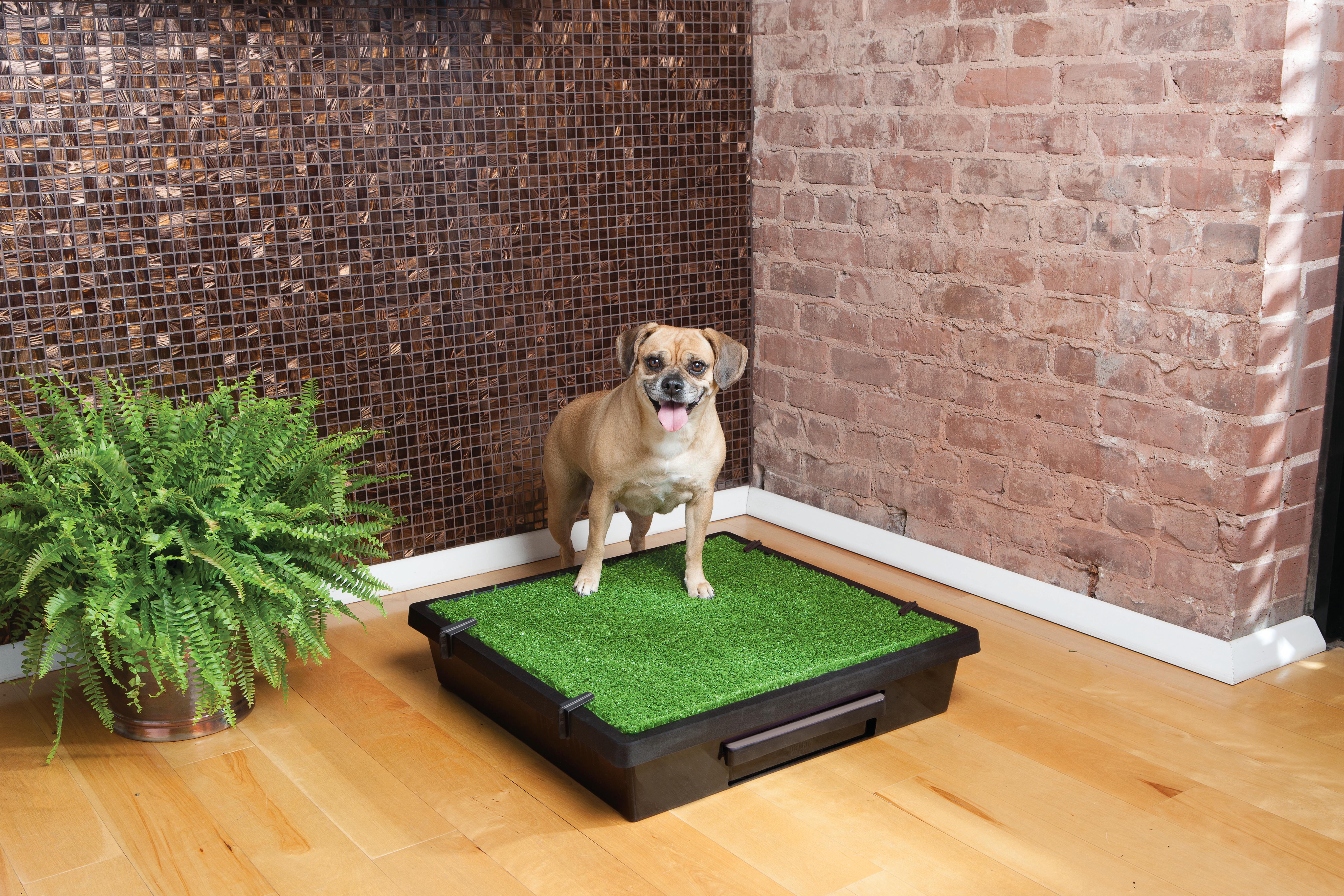 fake grass puppy potty
