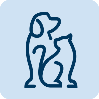 Inline Icon