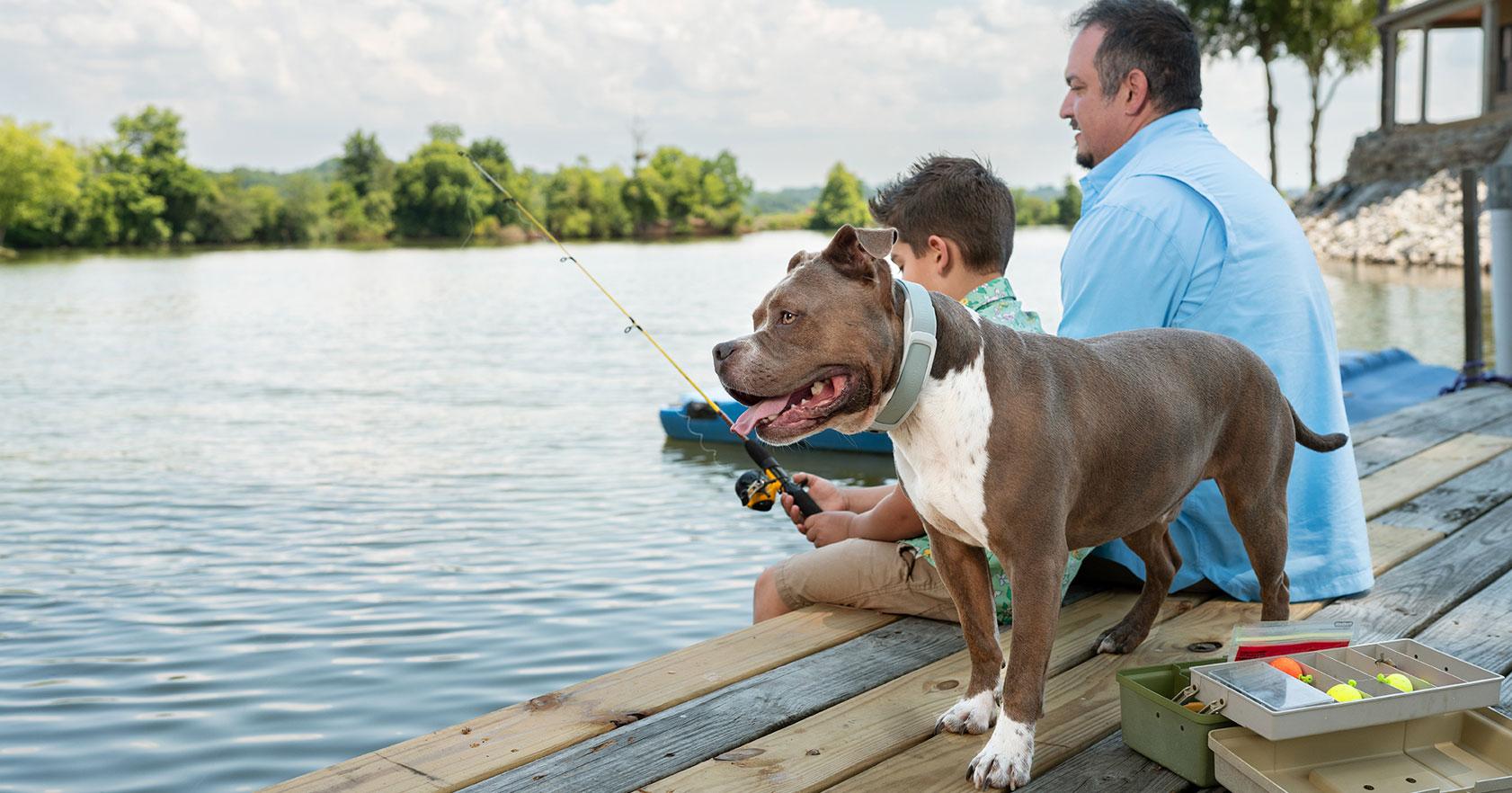 A father and son safely enjoy fishing on a dock while the dog wears a GPS-enabled Invisible Fence® dog collar.