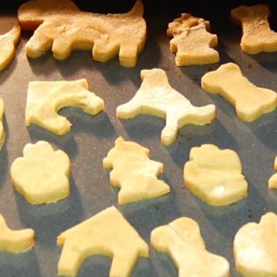 homemade pet treats