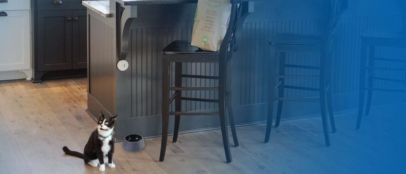 Cat by kitchen island and dog bowl staying away by Shields product.