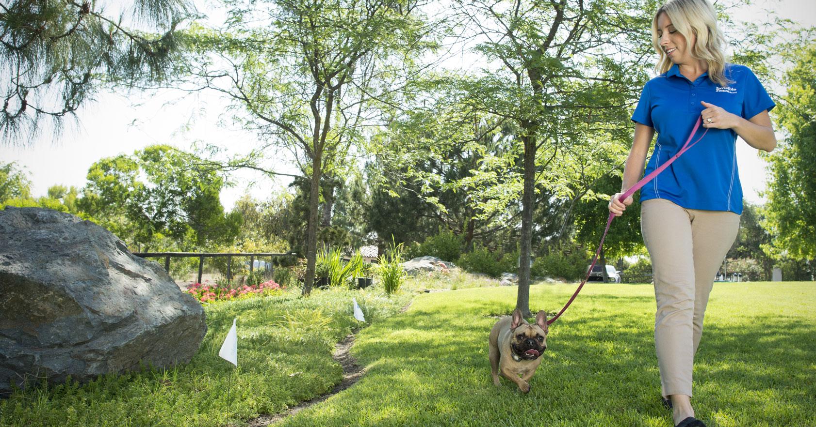 A certified animal behaviorist guides a dog along Invisible Fence® white flags to familiarize them with the new border.