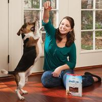 dog training with treats