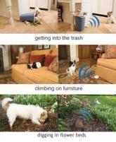 pet proofing options