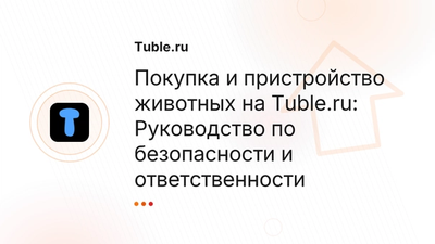 Животные в дар, продажа: Как безопасно купить питомца | Tuble.ru
