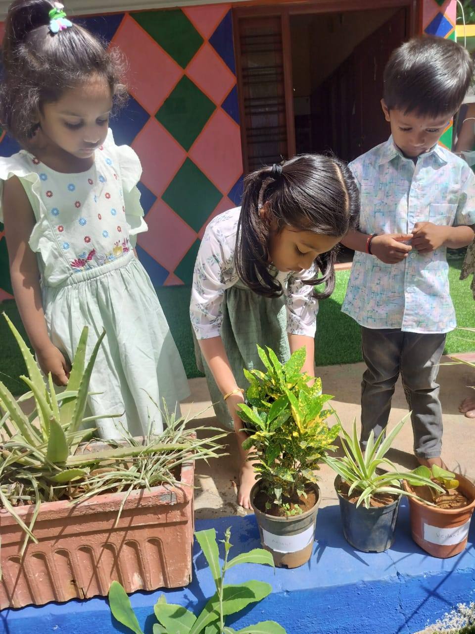 Nature learning activity at T.I.M.E Kids preschool Horamavu Bengaluru