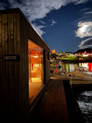 Måneskinn III