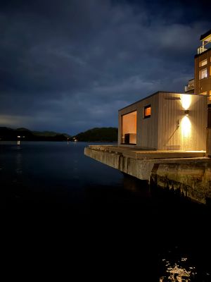 Måneskinn II