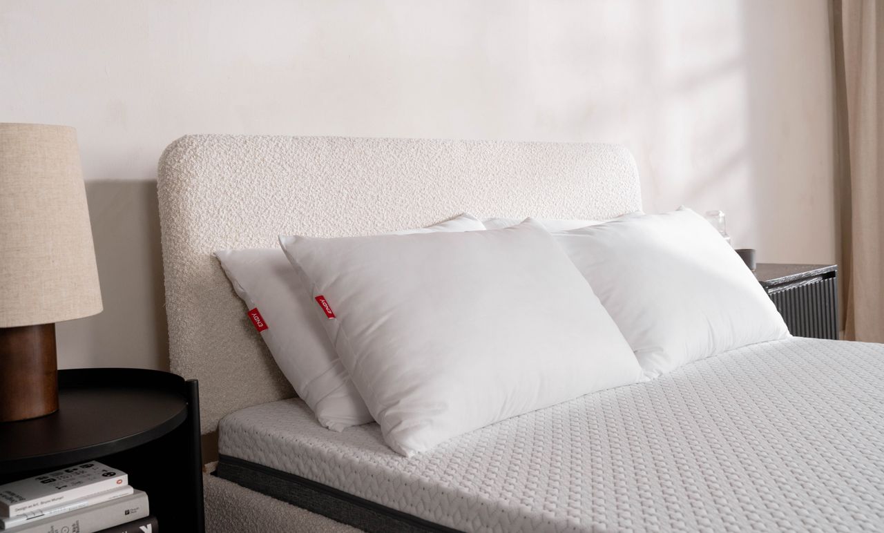 The Endy Everyday Pillow
