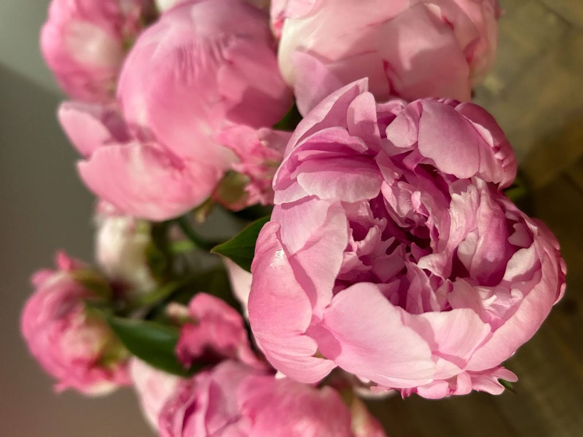 Pink flowers bouquet. 