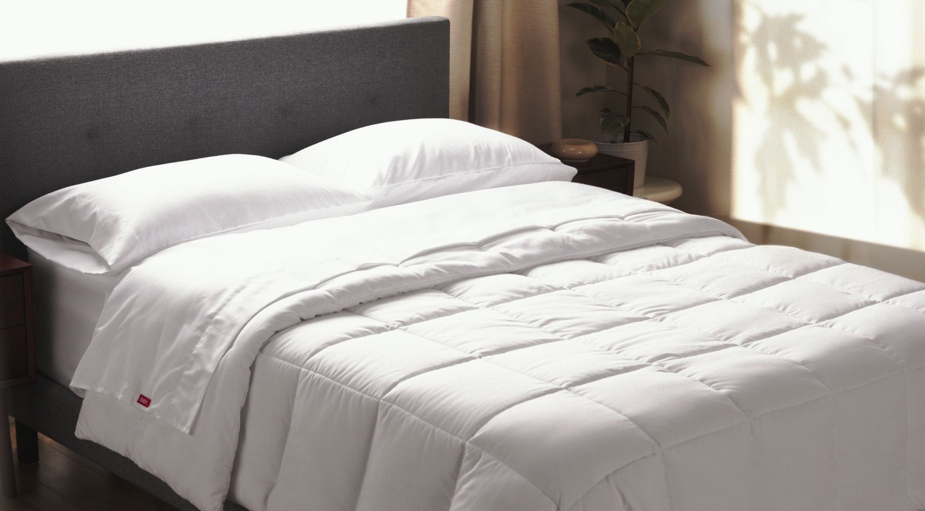 Endy® CanadianMade Mattresses Free Shipping