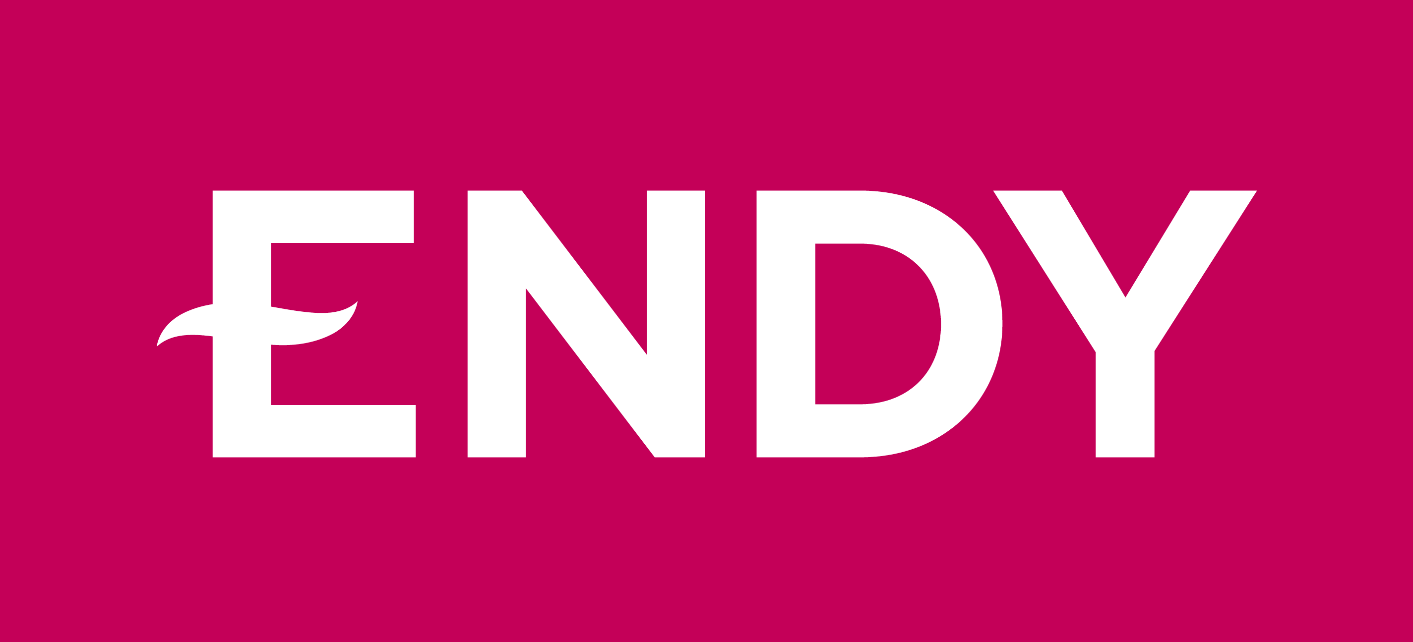 logo Endy