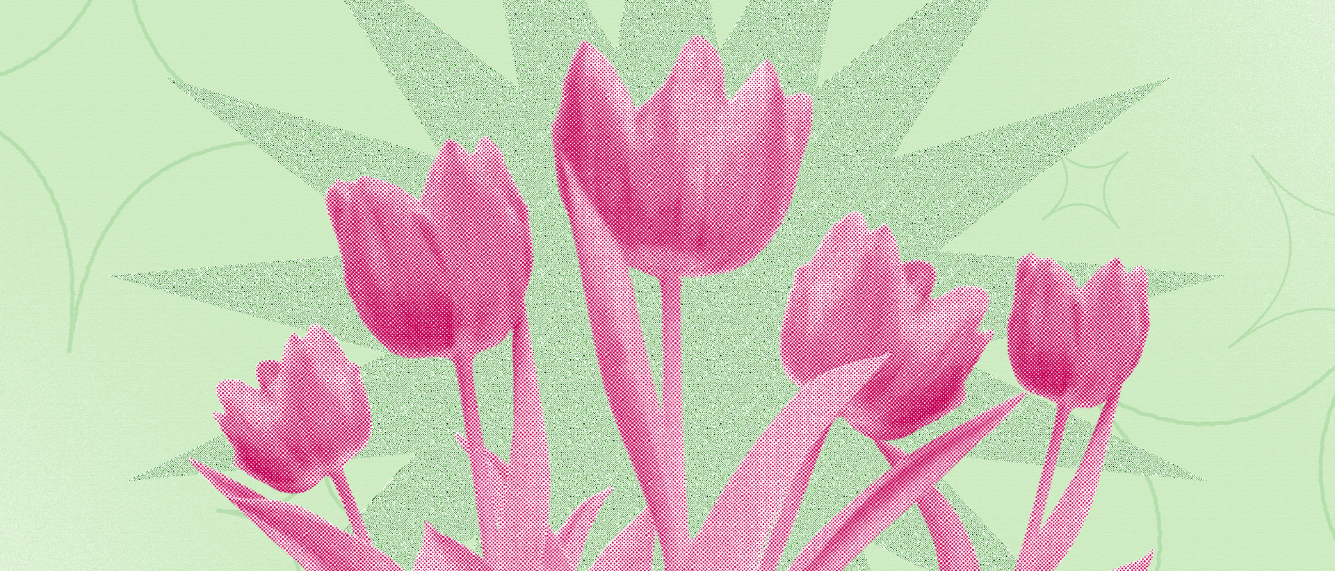 Photo of flowers