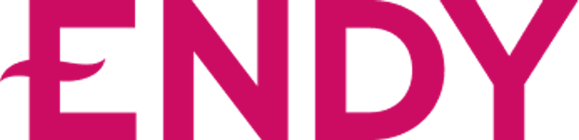 Endy logo
