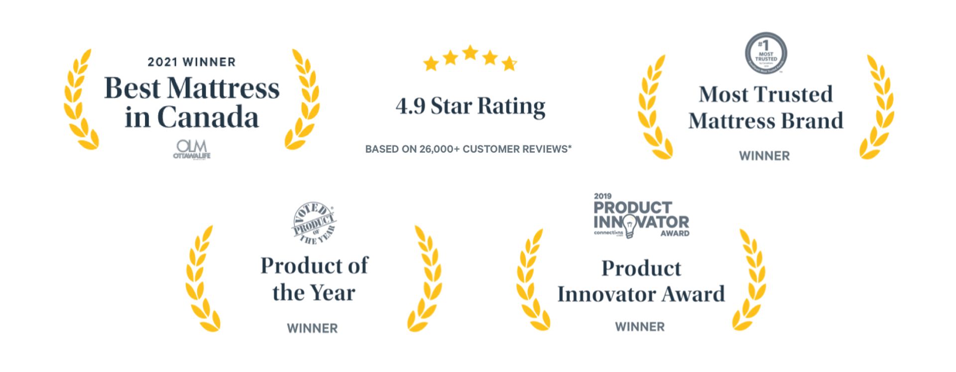 Icons depicting accolades that Endy has received.