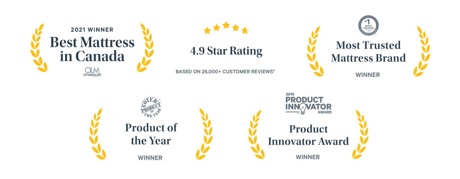 Icons depicting accolades that Endy has received.