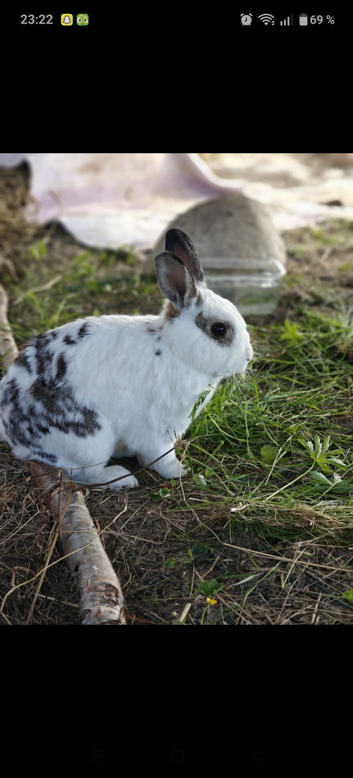 Smådjur
