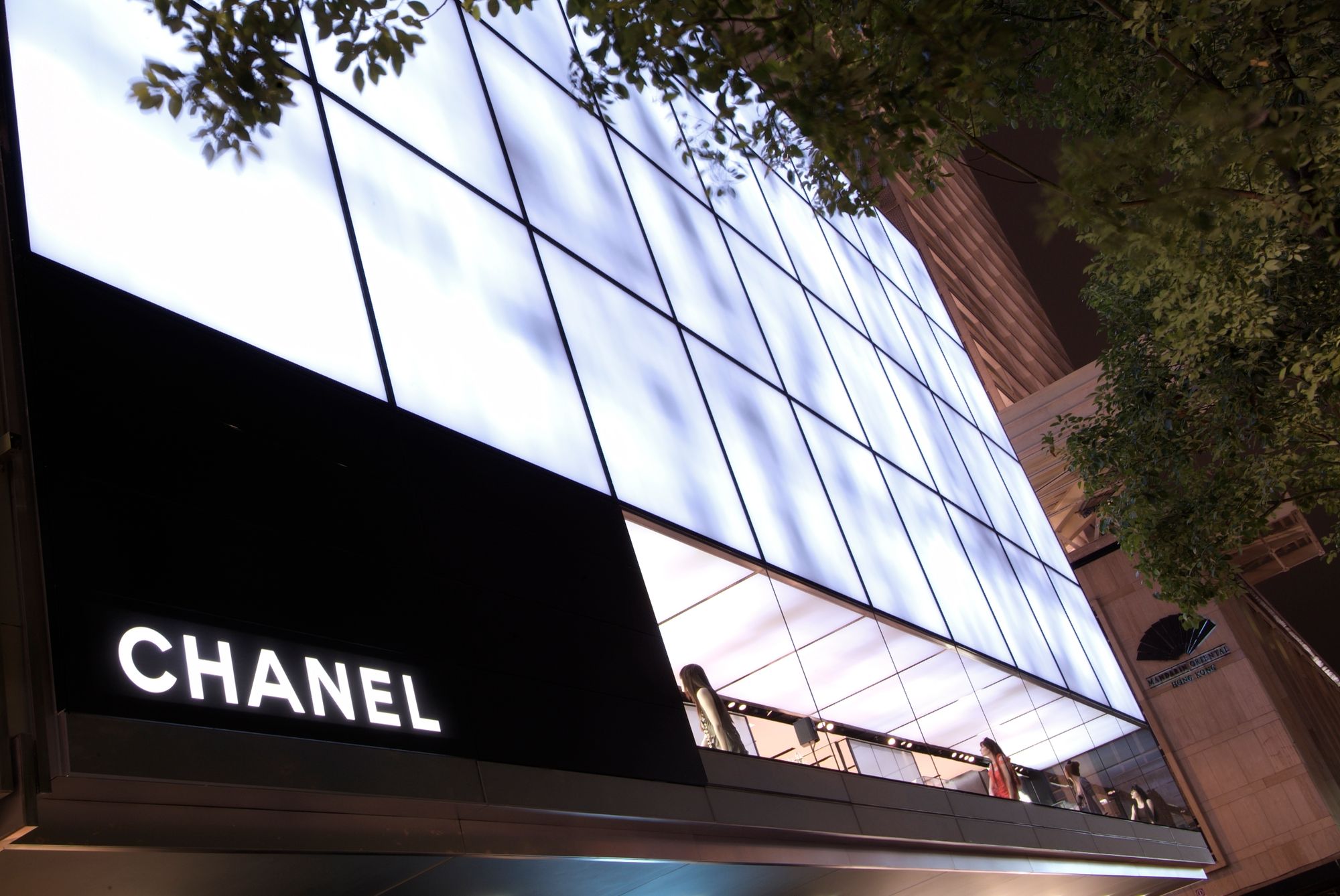 Project Image for Chanel Prince's Building I