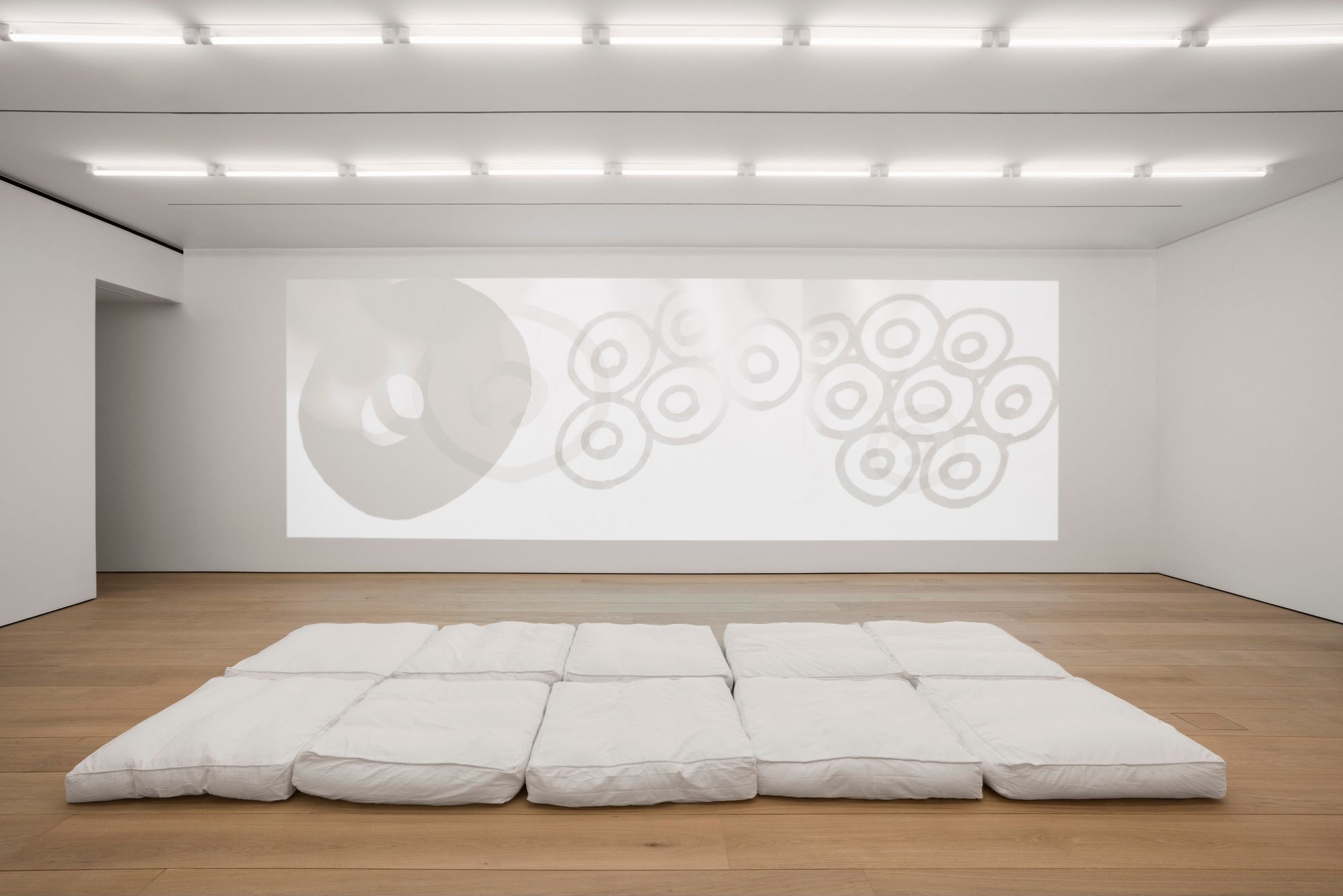 Project Image for Lehmann Maupin Gallery