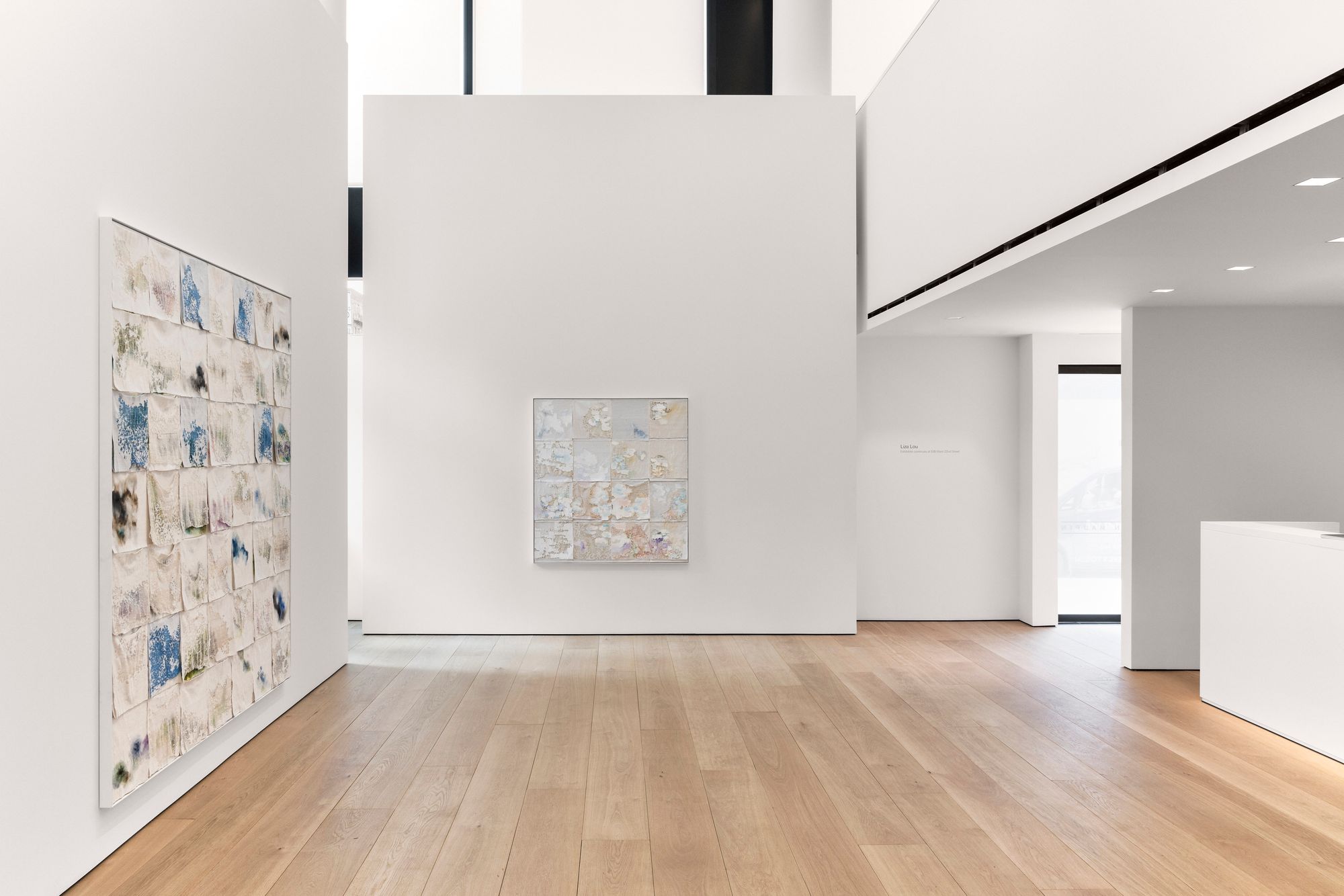 Project Image for Lehmann Maupin Gallery