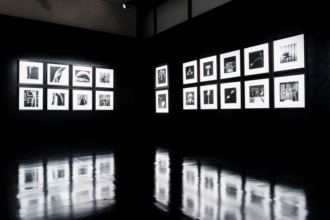 Peter Marino Architect • Memento Mori: Mapplethorpe Photographs