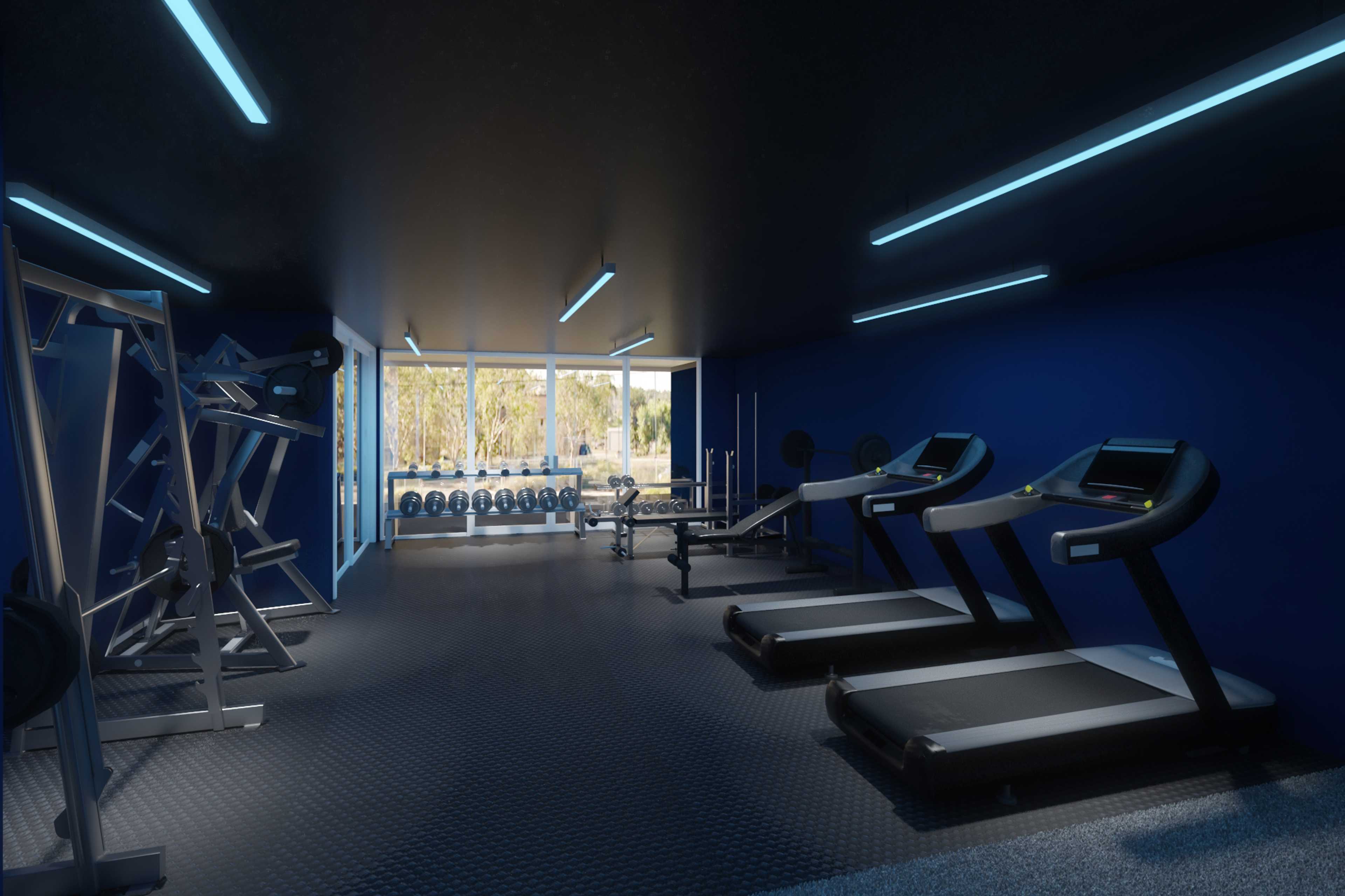 the-gym-vista-portfolio-g-charles-design