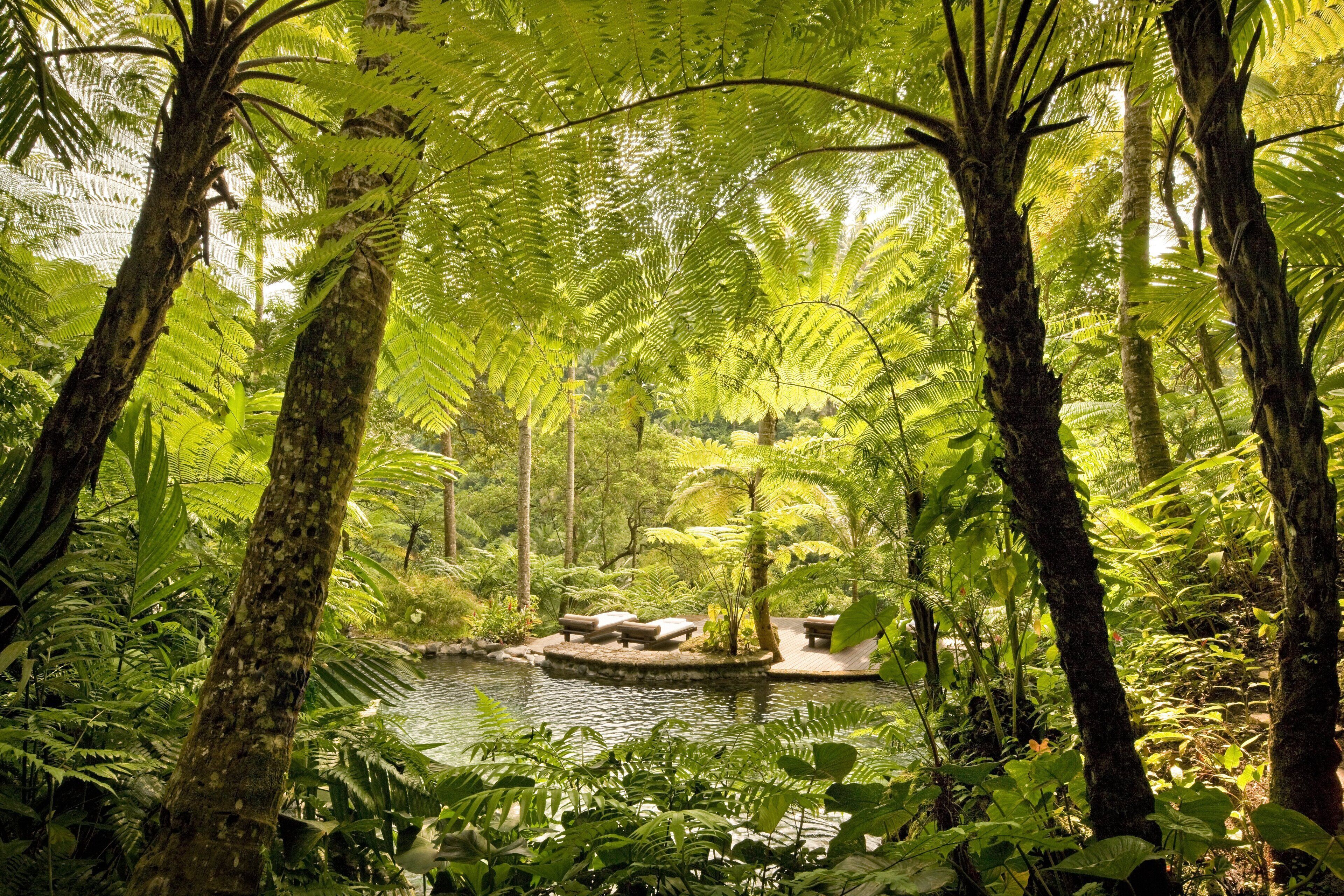 COMO Shambhala Estate
