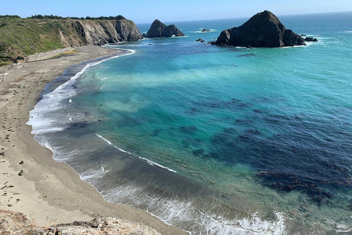 Mendocino Coast