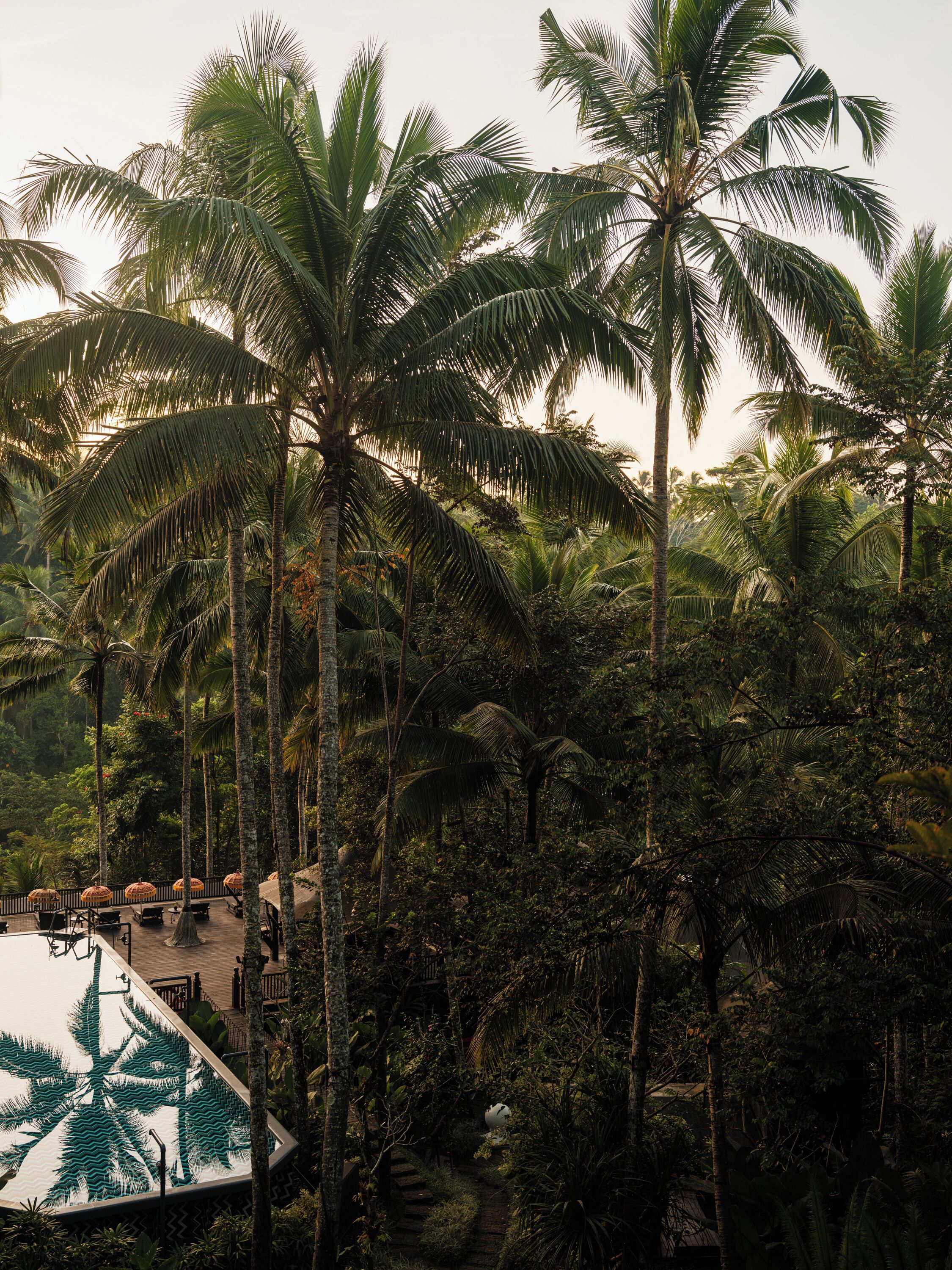 Capella Ubud