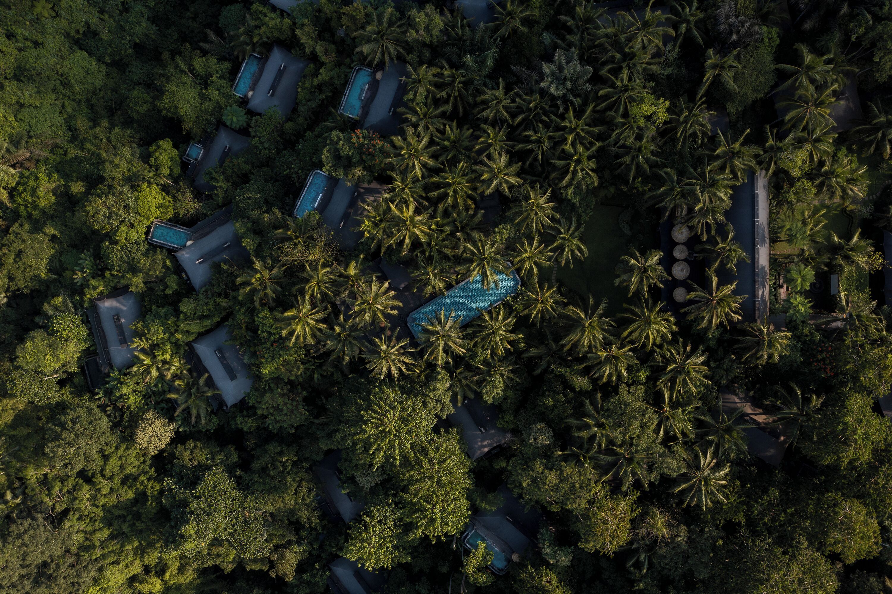 Capella Ubud