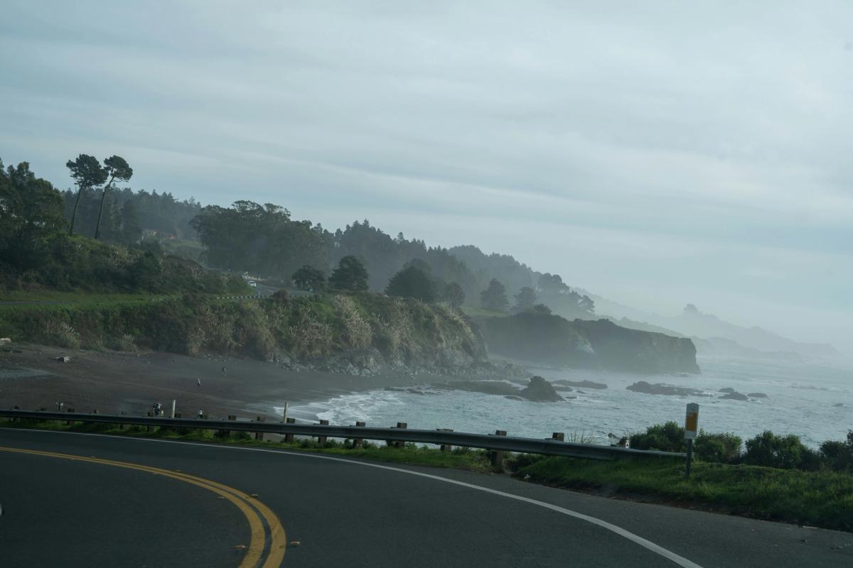Mendocino Coast