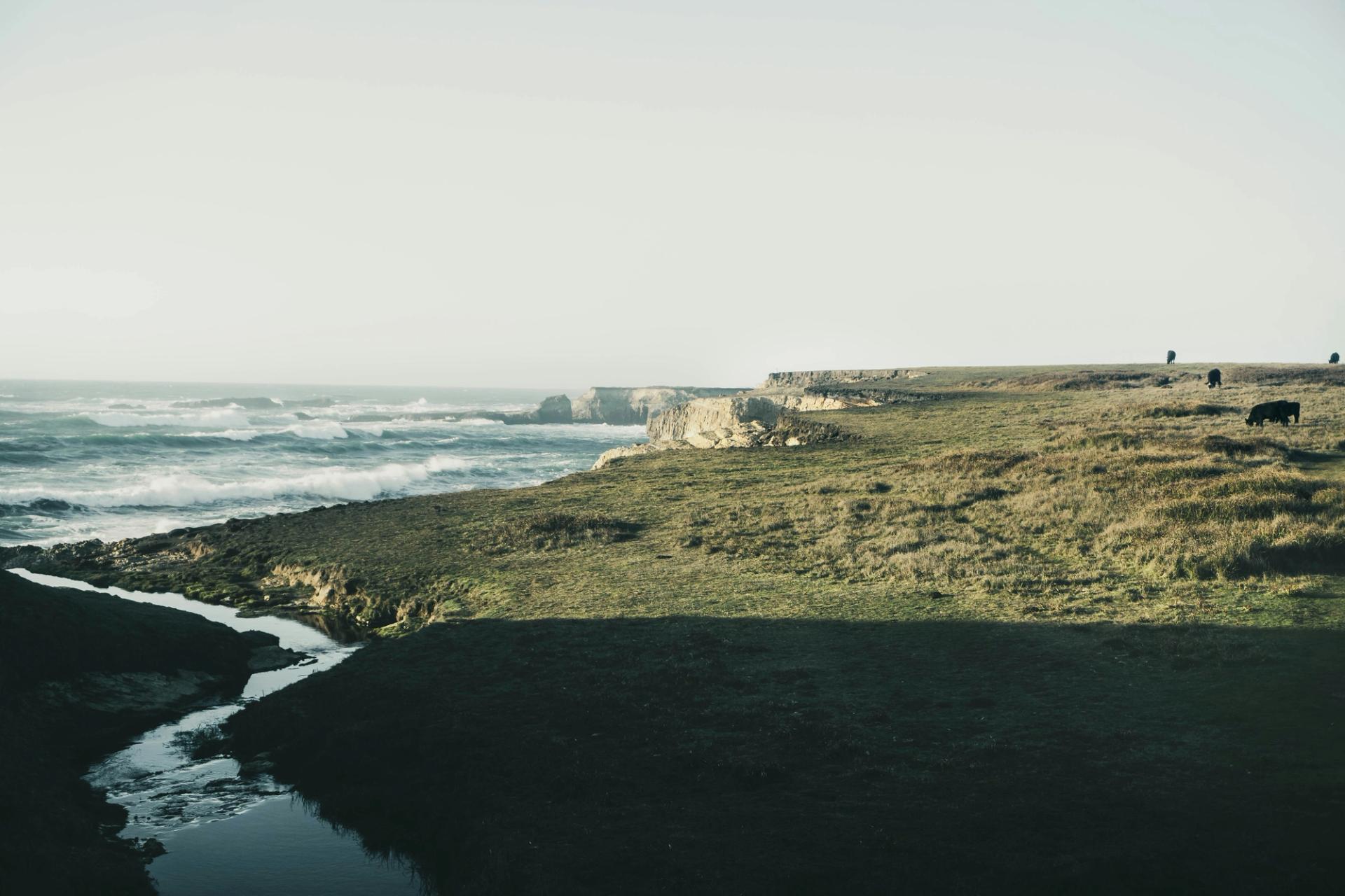 Sonoma & Mendocino