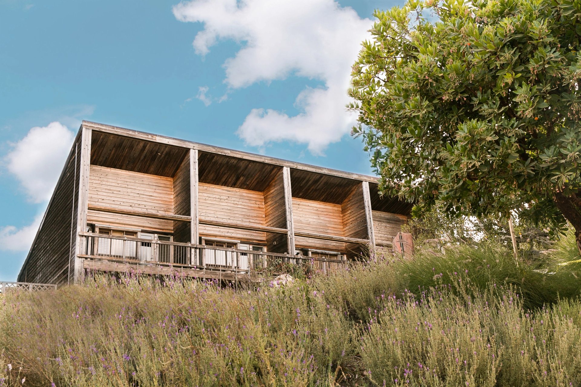 Alila Ventana Big Sur