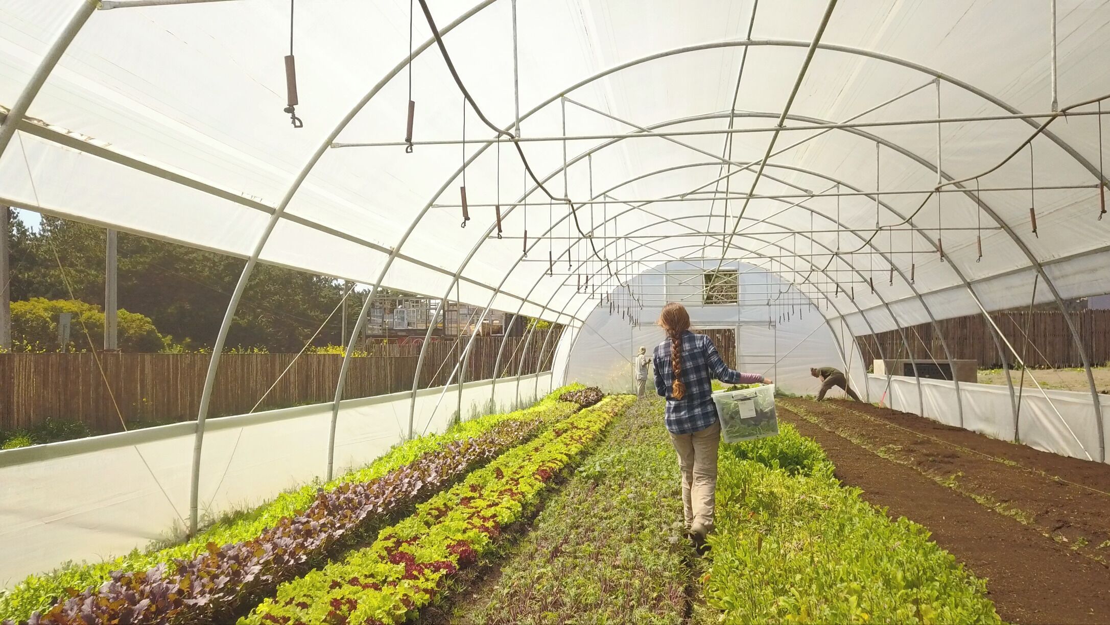 Hotel Alaia — The sustainability